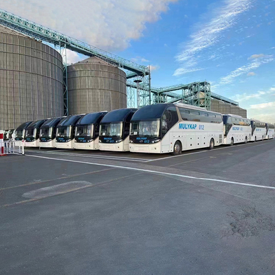 RORO 自動車と建設機械の中国貨物代理店からの出荷料